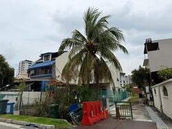 Jalan Chengkek (D13), Terrace #578510661